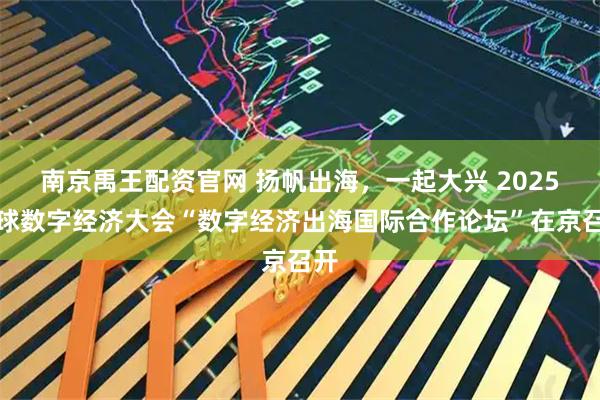 南京禹王配资官网 扬帆出海，一起大兴 2025全球数字经济大会“数字经济出海国际合作论坛”在京召开