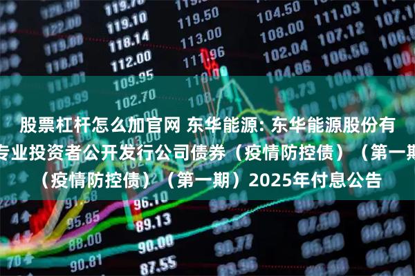股票杠杆怎么加官网 东华能源: 东华能源股份有限公司2021年面向专业投资者公开发行公司债券（疫情防控债）（第一期）2025年付息公告