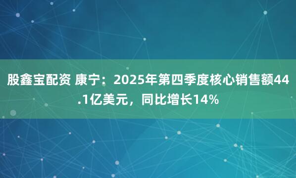 股鑫宝配资 康宁：2025年第四季度核心销售额44.1亿美元，同比增长14%