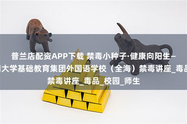 普兰店配资APP下载 禁毒小种子·健康向阳生——西交利物浦大学基础教育集团外国语学校（全海）禁毒讲座_毒品_校园_师生