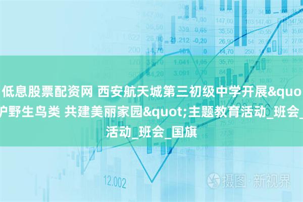 低息股票配资网 西安航天城第三初级中学开展"保护野生鸟类 共建美丽家园"主题教育活动_班会_国旗