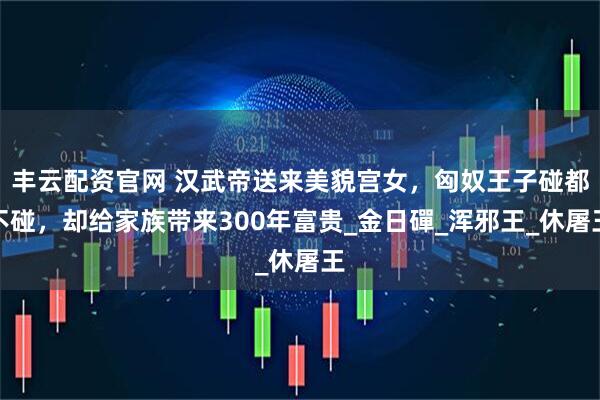 丰云配资官网 汉武帝送来美貌宫女，匈奴王子碰都不碰，却给家族带来300年富贵_金日磾_浑邪王_休屠王