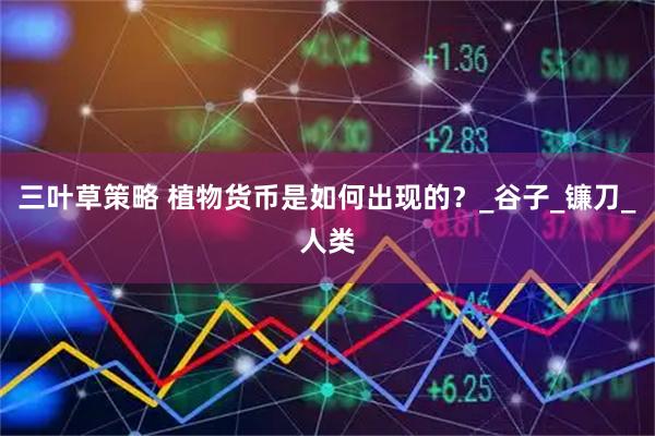 三叶草策略 植物货币是如何出现的？_谷子_镰刀_人类