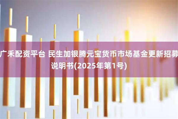 广禾配资平台 民生加银腾元宝货币市场基金更新招募说明书(2025年第1号)