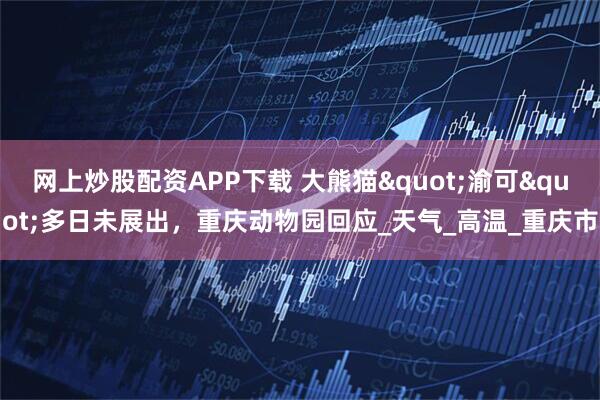 网上炒股配资APP下载 大熊猫"渝可"多日未展出,重庆动物园回应_天气_高温_重庆市